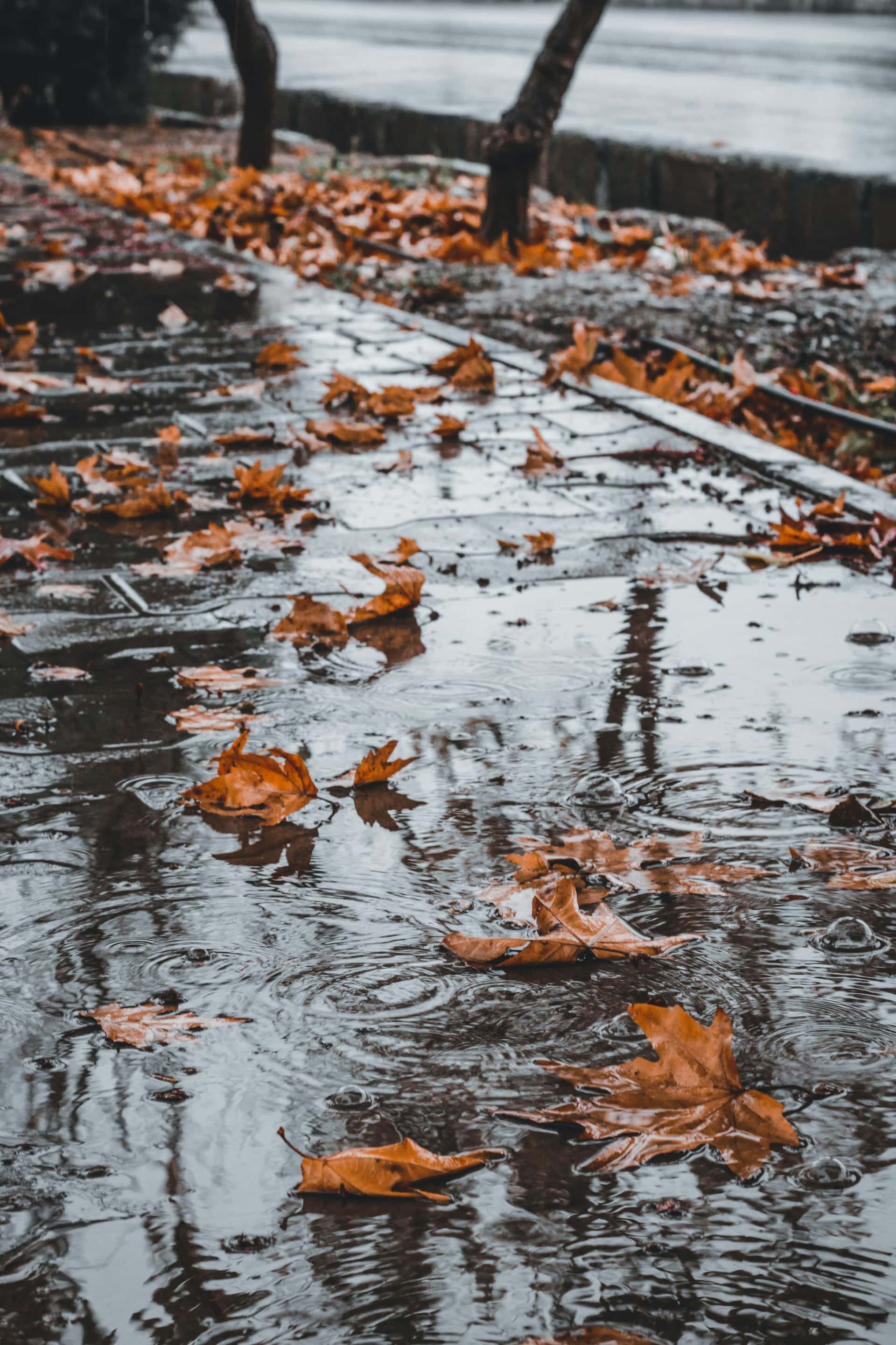 Septembre pluvieux : comment sécher son linge sans gaspiller d’énergie ?