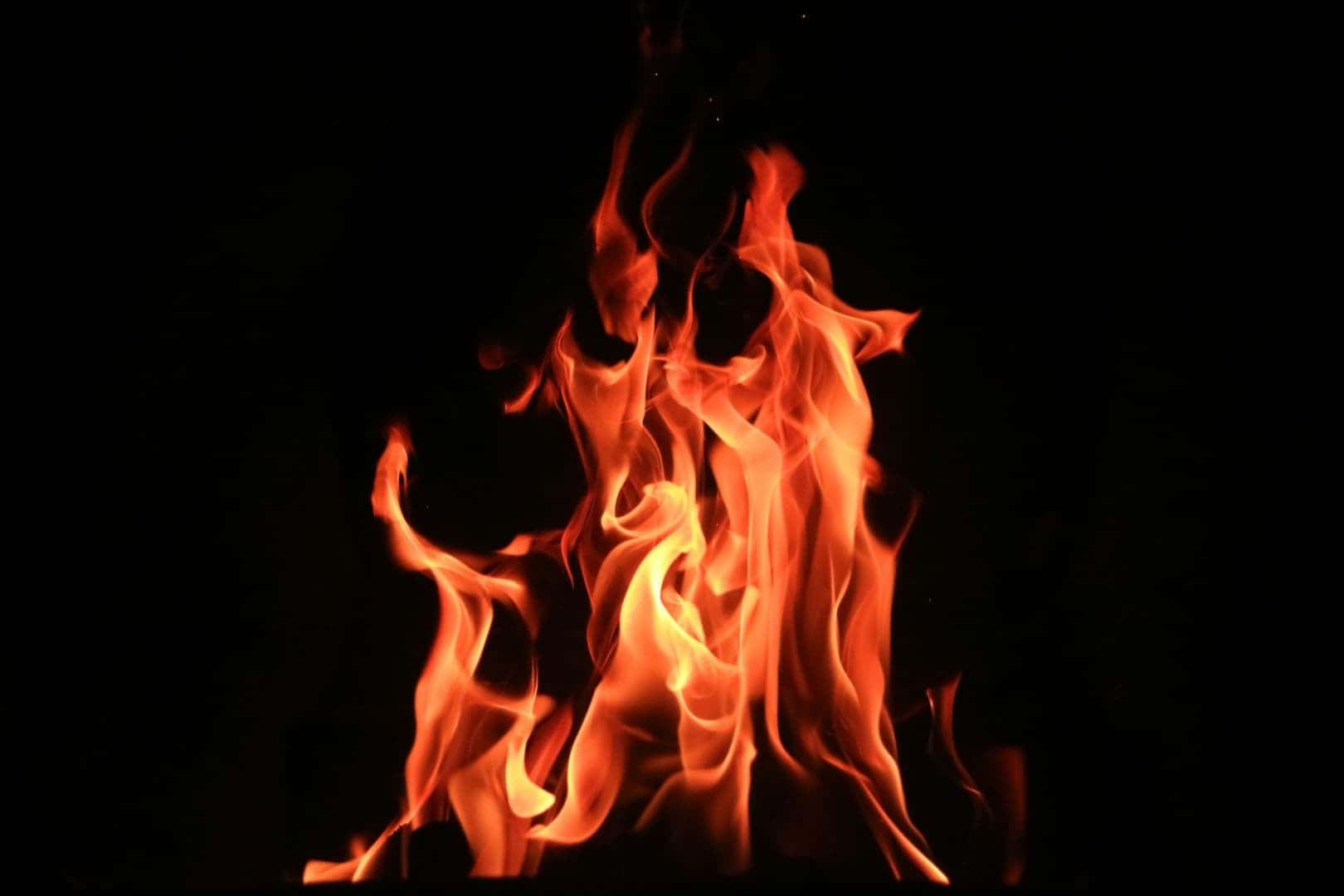 Eco-Heating in 2025: Heat Pump vs Pellet Stove vs Solar Heating