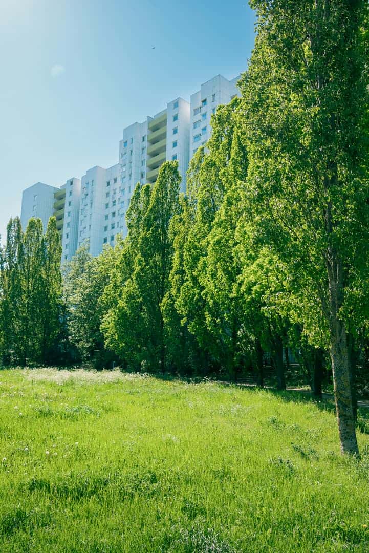 Reconnecting with Nature in the City: 5 Simple Ways to Make It Happen