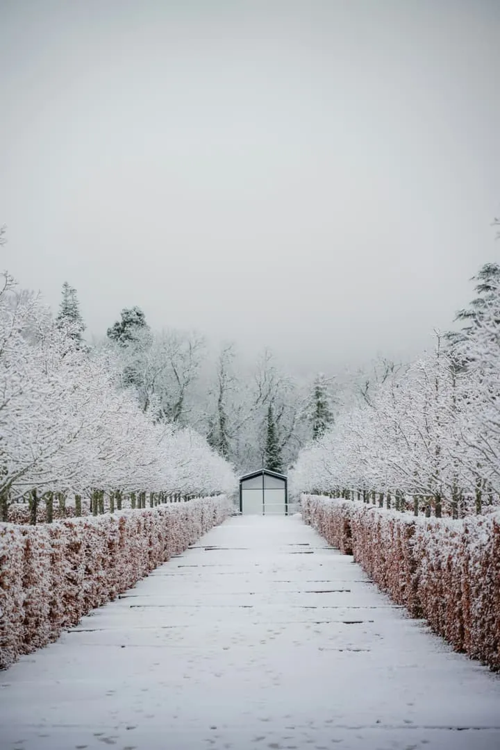 Europe’s Winter Wake-Up Call: The Hidden Energy Decisions Millions of Homes Will Regret Delaying in 2026