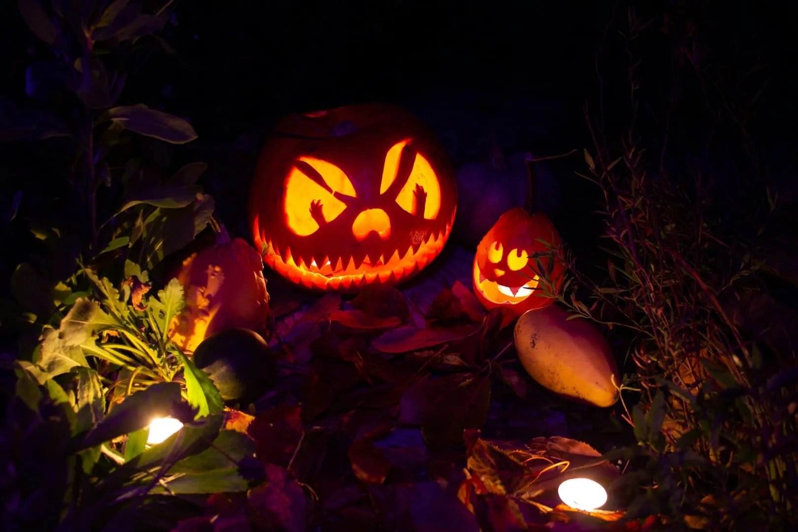 Night of Lanterns: Bringing Meaning Back to Halloween